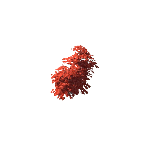 Maple Tree Red Mid 05